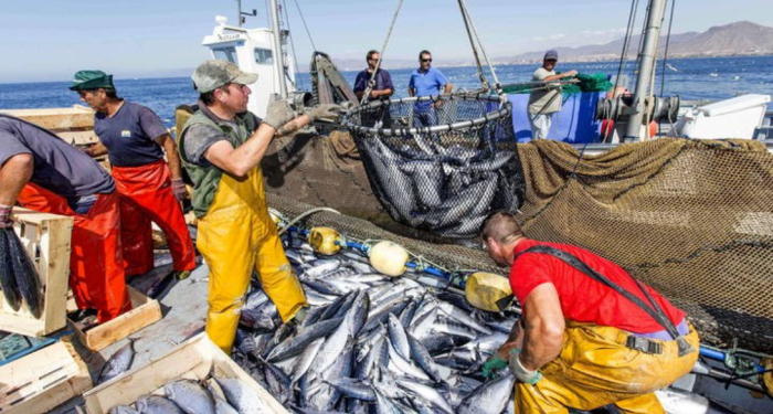 Accords de pêche annulés : le Maroc défend ses intérêts face à une décision de la Cour européenne