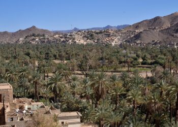 Algérie : Une touriste suisse égorgée à Djanet