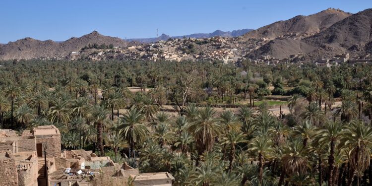 Algérie : Une touriste suisse égorgée à Djanet