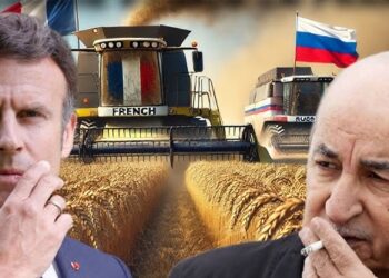 L’Algérie continue sa guerre économique contre la France sur fond de tensions diplomatiques