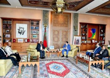 Sahara et économie : Le renforcement des liens entre l’Afrique du Sud et le Maroc divise Pretoria