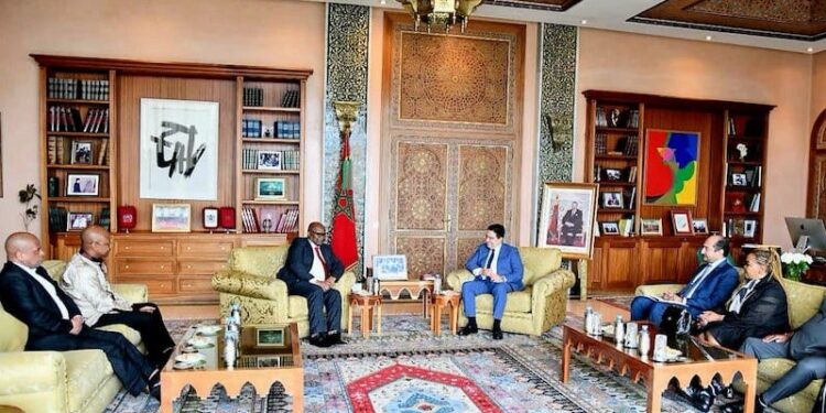 Sahara et économie : Le renforcement des liens entre l’Afrique du Sud et le Maroc divise Pretoria