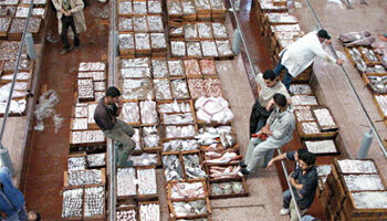 Réformes urgentes pour stabiliser les prix du poisson au Maroc