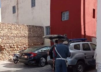 Un jeune homme tue sa mère avant de se donner la mort