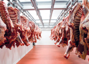 Viandes rouges : le Maroc ouvre ses frontières pour stabiliser les prix