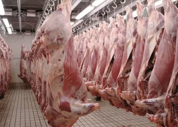 La hausse des prix de la viande ovine provoque l’exaspération des citoyens