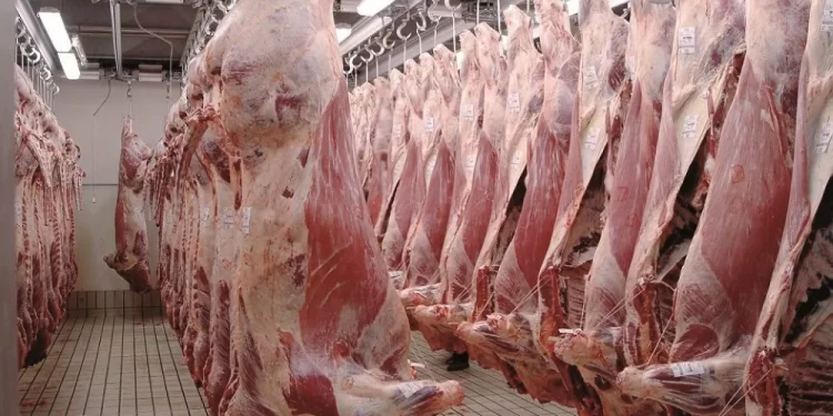 La hausse des prix de la viande ovine provoque l’exaspération des citoyens
