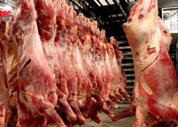 La stratégie gouvernementale pour approvisionner le marché en viandes rouges