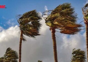 Alerte météo: Vents violents attendus dans plusieurs régions du Maroc