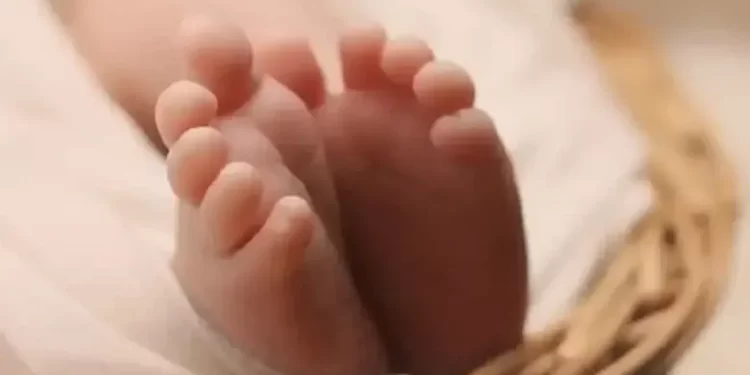 Trafic de bébés à Fès : La Cour d’appel alourdit les peines des principaux accusés