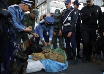 Trafic de drogue déjoué : Une saisie record au port de Casablanca
