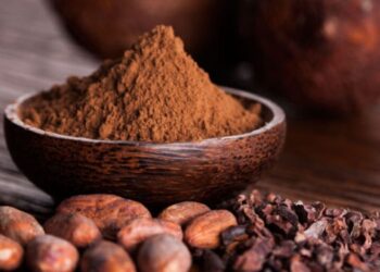 Prix du Cacao: Une flambée historique en 2024 face à une offre en baisse