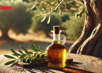 Huile d’olive: 5 bienfaits exceptionnels pour la santé et guide de conservation optimal