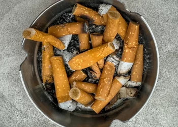 Chaque cigarette fumée raccourcit votre vie : un constat alarmant confirmé par la science