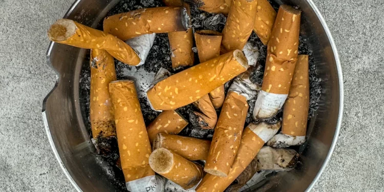 Chaque cigarette fumée raccourcit votre vie : un constat alarmant confirmé par la science
