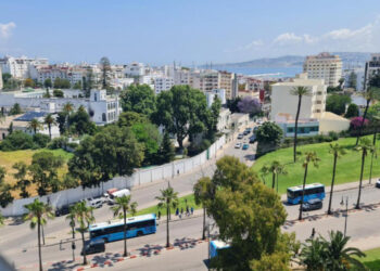 Tanger : Un ancien employé de la conservation foncière condamné pour falsification de documents officiels