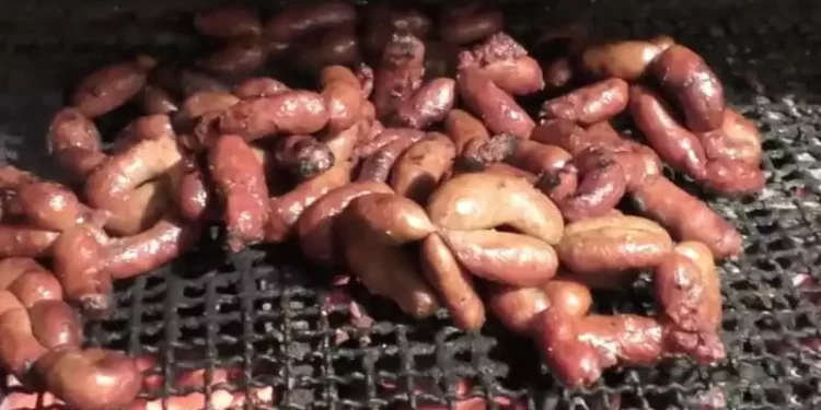 Viande de chien : la panique gagne Casablanca après la découverte de carcasses suspectes