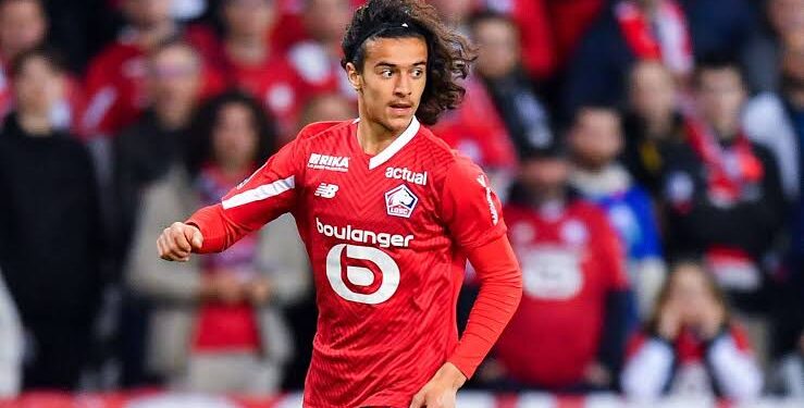 Ayoub Bouaddi, la nouvelle étoile des Lions de l’Atlas