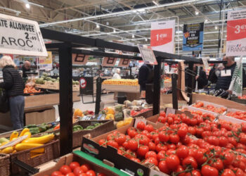 Produits marocains : colère et pertes pour les agriculteurs espagnols et français