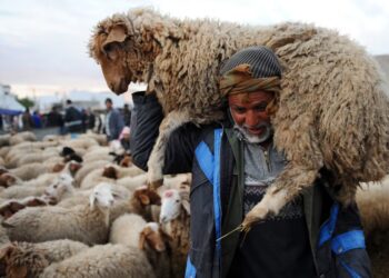 La fête du mouton aura-t-elle lieu ?