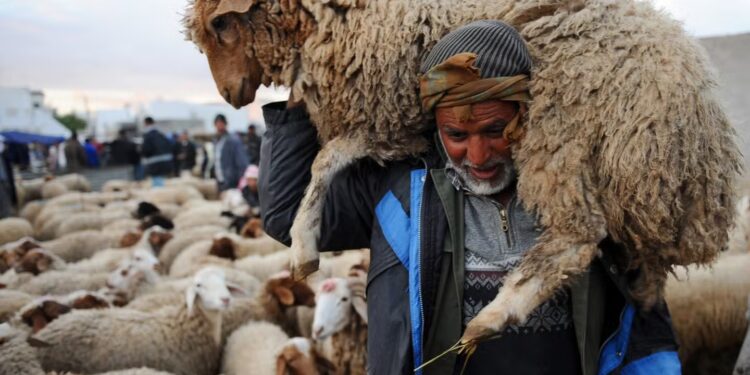 La fête du mouton aura-t-elle lieu ?