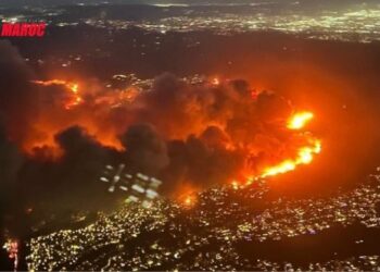 Los Angeles : Bilan tragique des incendies de forêt avec cinq victimes confirmées