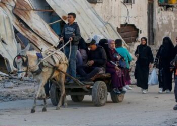 Trump propose le déplacement des habitants de Gaza vers l’Égypte et la Jordanie