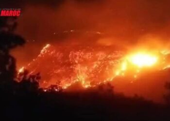 Tétouan: Maîtrise rapide d’un incendie dans la forêt de Moklata