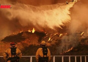 Incendies à Los Angeles : 11 morts et plus de 14 000 hectares ravagés