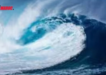 Japon : Alerte au tsunami après un séisme de magnitude 6,8