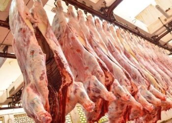 Viandes rouges : une rencontre maroco-espagnole pour stabiliser les prix