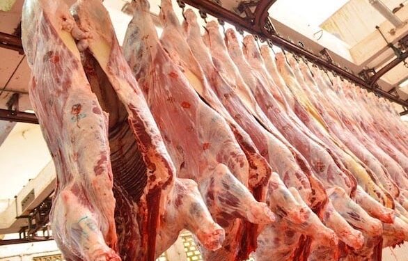 Viandes rouges : une rencontre maroco-espagnole pour stabiliser les prix