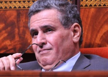 Compétences marocaines à l’étranger : leur expertise a-t-elle sa place au sein de notre gouvernement ?