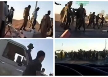 Affrontements à Tindouf : une fracture grandissante entre Alger et le Polisario