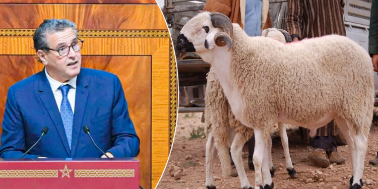 Akhannouch victime d’une vidéo « Antidaté »