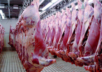 Le Paraguay veut doubler ses exportations de viande vers le Maroc