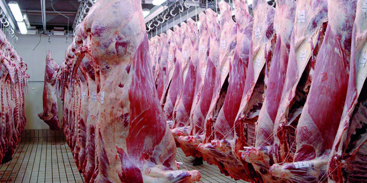 Le Paraguay veut doubler ses exportations de viande vers le Maroc