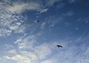 Prévisions Météorologiques au Maroc pour ce Mardi : Temps froid et brume matinale