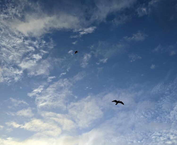 Prévisions Météorologiques au Maroc pour ce Mardi : Temps froid et brume matinale