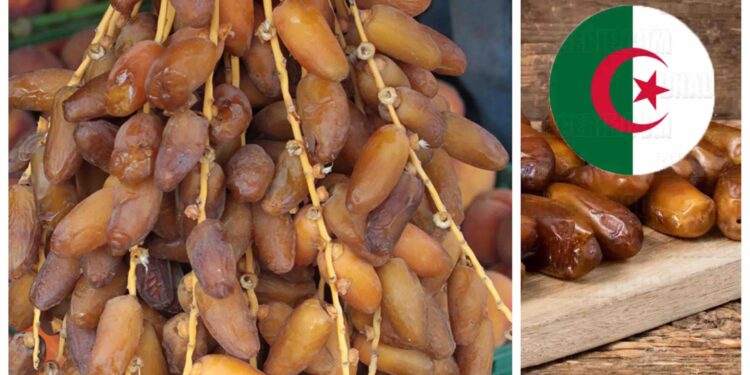 La vente de dattes Algériennes au Maroc suscite l’incompréhension