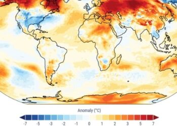 Janvier 2025, le mois le plus chaud jamais enregistré