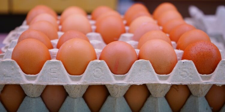 Le prix des œufs en forte hausse à l’approche du Ramadan