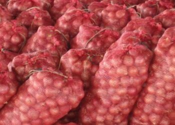 Exportations agricoles : Le Maroc conquiert le marché des oignons aux Émirats