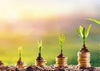 Startups MENA: 2,3 milliards $ de financement en 2024