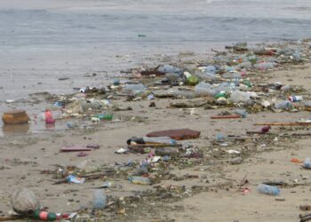 La plage de Rabat en état d’urgence