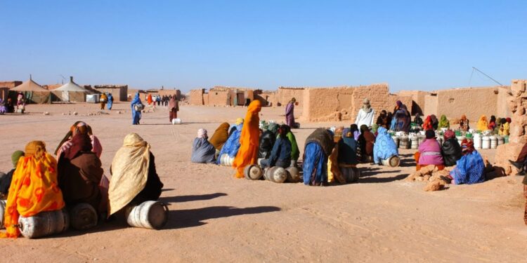 Camps de Tindouf : un militant sahraoui impute au pouvoir algérien la misère des séquestrés de Tindouf