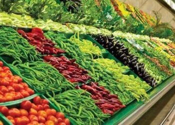 Le Maroc, premier fournisseur de fruits et légumes de l’Espagne en 2024