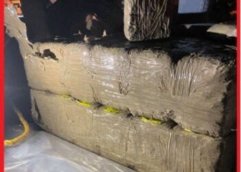 Témara : Saisie de 4 tonnes de chira et arrestation de cinq individus dans une opération antidrogue