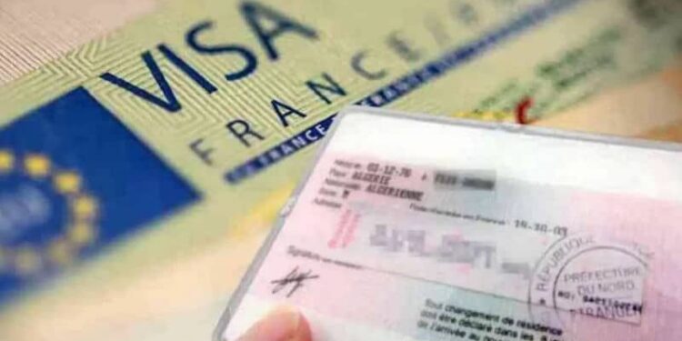 Sans-papiers en France : une avocate met en garde contre les fausses promesses de régularisation