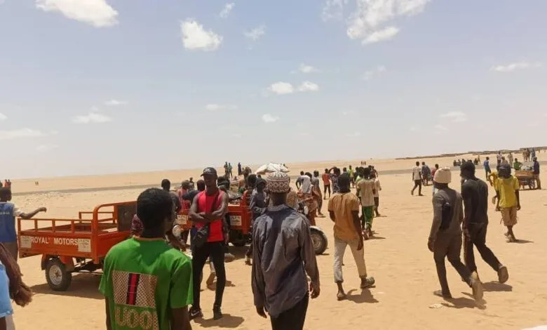 Migration subsaharienne : l’Algérie pointée du doigt pour une gestion réduite à l’expulsion vers le désert